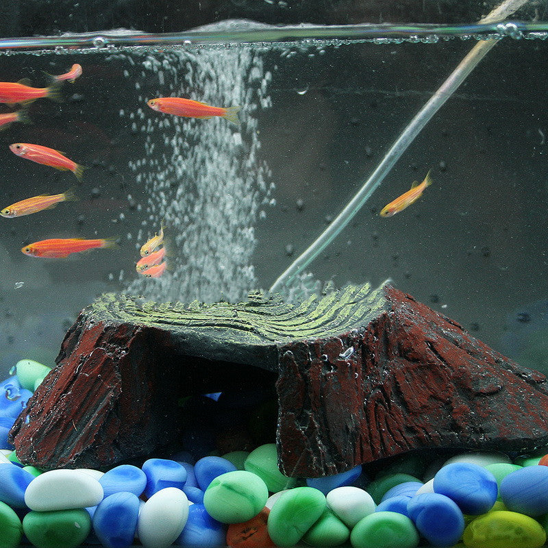 Platformă pentru broască țestoasă