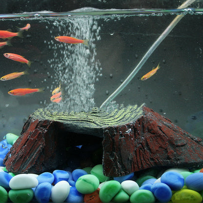 Platformă pentru broască țestoasă