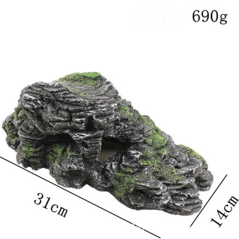 Piatră pentru Broască țestoasă