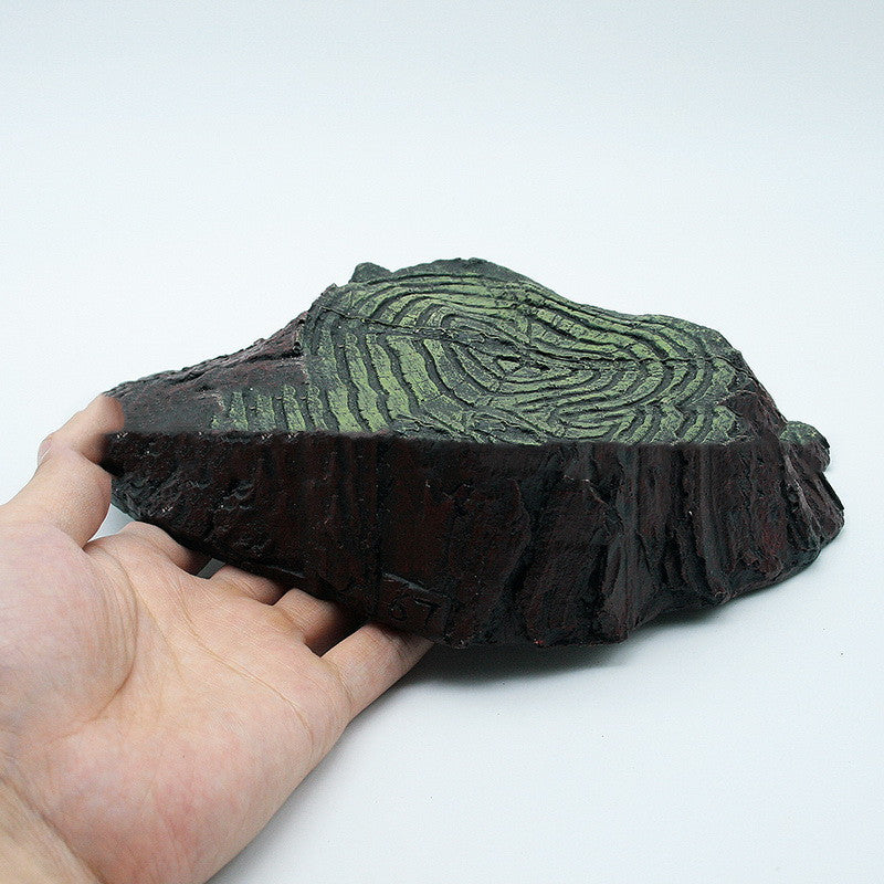 Platformă pentru broască țestoasă