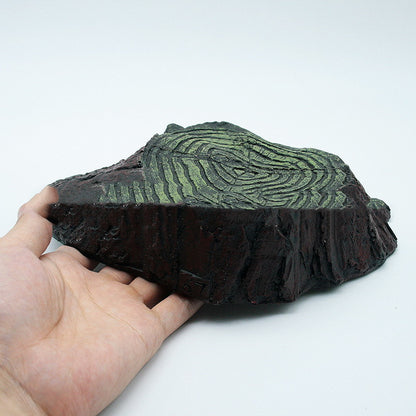 Platformă pentru broască țestoasă